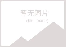 大新县梦柏水泥有限公司